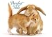 Purrfect Pals Boxed Notecards