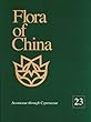 Flora of China  : text. 23  : Acoraceae through Cyperaceae