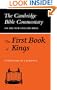 The First Book of Kings (Cambridge Bible Commentaries on the Old Testament)