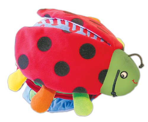 Play & Discover Ladybug