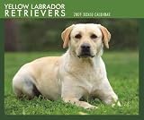 Labrador Retrievers (Yellow) 2009 Boxed Calendar