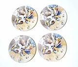 Beach SEASHELLS shell absorbent stone COASTERS set 4