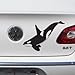 Killer Whale Decal, Orca Whale Vinyl, for car, Window, Laptop Black