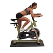 BFSB5 Chain Drive Indoor Cycling Bike