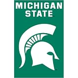 Michigan State Spartans NCAA Applique Banner Flag (44x28)