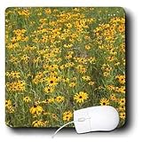 Flowers - Black Eyed Susan - Mouse Pads