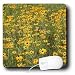 Flowers - Black Eyed Susan - Mouse Pads Image