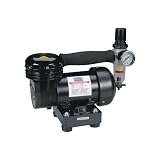 Mini Air Compressor w/Regulator & Filter