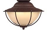 Outdoor Rust Cage Ceiling Light Kit