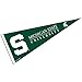 Michigan State Pennant Full Size Felt