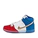 Nike Men's Dunk High Premium SB Skate Shoe