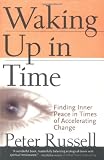 Waking Up In Time: Finding Inner Peace In Times of Accelerating Change