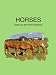 Horses...Close Up and Very Personal