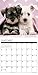 2016 Just Schnauzer Puppies Wall Calendar