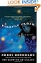 Firefly Cloak: A Novel