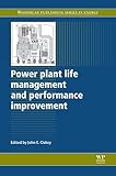 Power plant life management and performance improvement