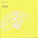 Hybrid Presents Y4K