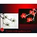 Flower Painting Feng Shui Painting Yin Yang Flower Painting 110