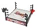 WWE Tornado Takedown Ring_s-1