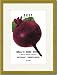 Gold Framed/Matted Print 17x23, Beet: Detroit Dark Red