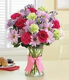 Spring Everyday