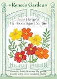 Heirloom Marigolds Container Signet Starfire Seeds