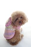 DOBAZ プリンセスカラフルセーター （ピンク）ドッグウェア (L)