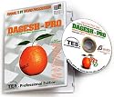 Dagesh Pro IV Hebrew-English Word Processor