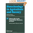 Tobacco BY-2 Cells: From Cellular Dynamics to Omics (Biotechnology in Agriculture and Forestry) by T. Nagata, K. Matsuoka, and D. Inz�