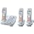 Panasonic Dect 6.0 Expandable Silver Digital Cordless Answering System - 3 Handset System (KX-TG9343S)
