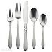 Oneida Simba 20-Piece Set, Service for 4