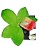 GREEN ORCHID FLOWER HAIR CLIP- MADE IN HAWAII