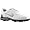 White/Metallic Silver