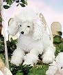 Pom Pom Carrymore Large 12" White Poodle Dog with Pink Bows Stuffed Animal Plush Purse By Bearington Collection