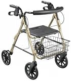Rollator D-Lite Aluminum Loop Lock Walker