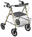 Rollator D-Lite Aluminum Loop Lock Walker