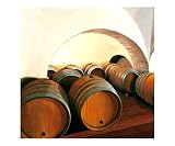 Wine Cellar Resident Fantasy Giclee Poster Print by linda messier, 24x20