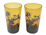 COLOR GLASS GROVE �i�C�G���[�j