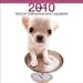 Teacup Chihuahuas 2010 Square Wall ARTLIST