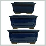 3 piece Bonsai pot set | Blue Ceramic size 6/8 - Deep - joebonsai