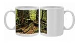 Photo Mugs of Rainforest, Pacific Rim National Park, Vancouver Island, British Columbia, from Robert Harding