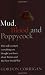 Mud, Blood and Poppycock: Britain and the Great War (Cassell Military Paperbacks)