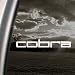 COBRA GOLF CLUBS Decal Car Truck Window Sticker 41VwM7 HmiL. SL75 Florida For Golfers Golf In The Sunshine State 12 Months A Year