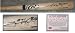 Sammy Sosa Texas Rangers MLB Hand Signed Rawlings Big Stick Blonde Baseball Bat