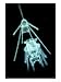 Sea Urchin, Echinopluteus Larva Art Photographic Poster Print by Oxford Scientific, 36x48