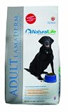 41Vwsq5WHmL. SL160 Food Allergy Treatment Grain+Wheat 1 Ounces