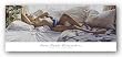 Lost In The Reverie by Steve Hanks 12"x36" Art Print Poster
