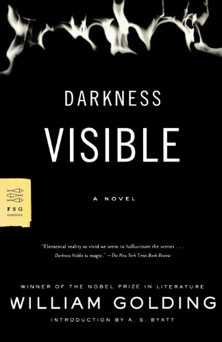 Darkness Visible: A Novel (FSG Classics)
