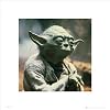 Star Wars - Yoda Poster Kunstdruck (40 x 40cm)