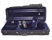 41VxFikytJL. SL75  ViolinSmart Oblong Viola Case 15.5 17   BLUE